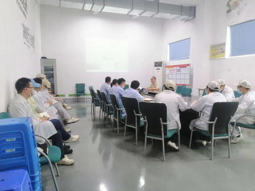 第十一事业部涂装深圳工厂开展技术交流活动 携手提升信息技术咨询服务水平