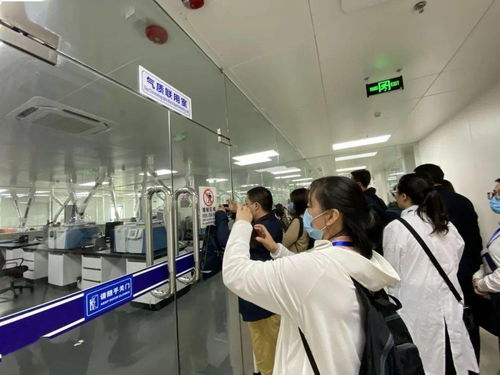 信息技术咨询服务为落实‘六稳六保’注入强劲动力 中国-东盟检验检测认证高技术服务集聚区赋能企业腾飞