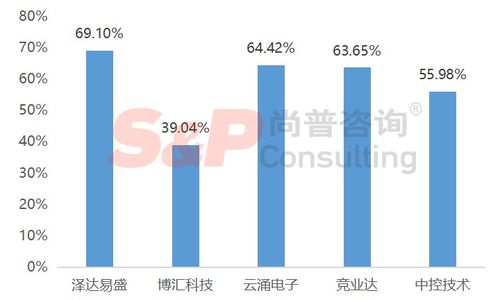软件和信息技术服务业企业IPO募投项目设计与审核要点——以信息技术咨询服务为例