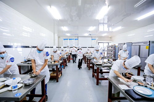 重庆高新区首届“高新工匠杯”技能大赛开赛，信息技术咨询服务领域人才角逐巅峰